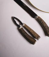 Schiaccianoci in cervo