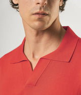 Polo  "Harry"