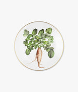 Piatto Caulis Floris