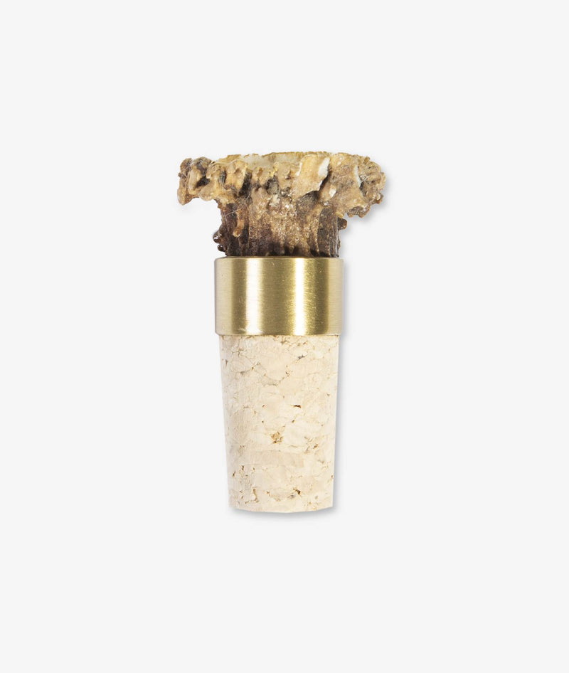 Tappo Da Vino Quercus Suber