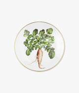 Piatto Caulis Floris
