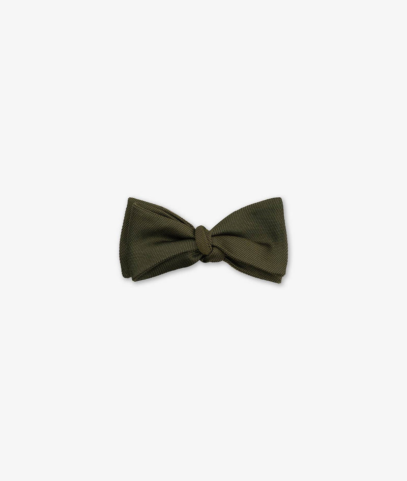 Papillon da annodare Timothy