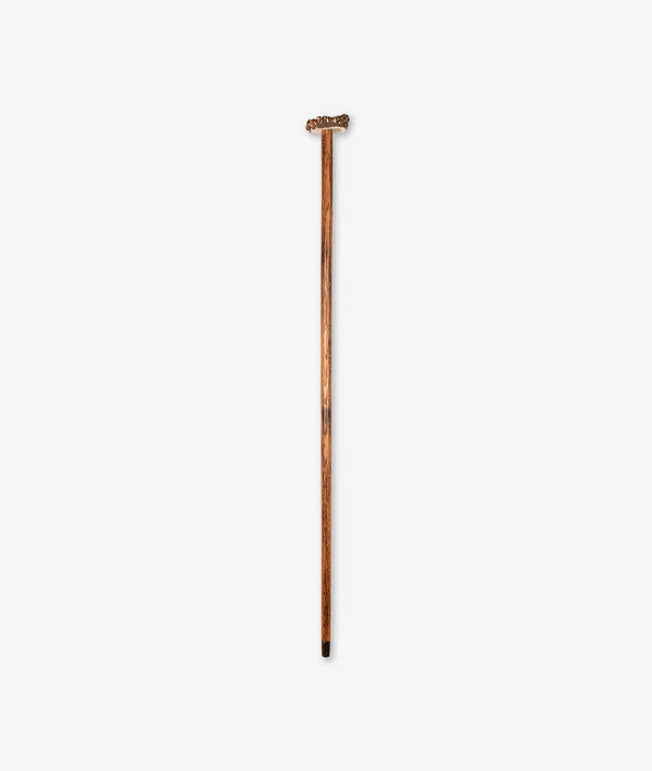 Bastone da passeggio