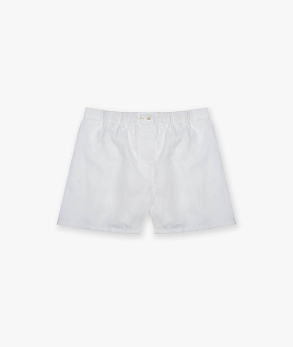 Boxer Venere