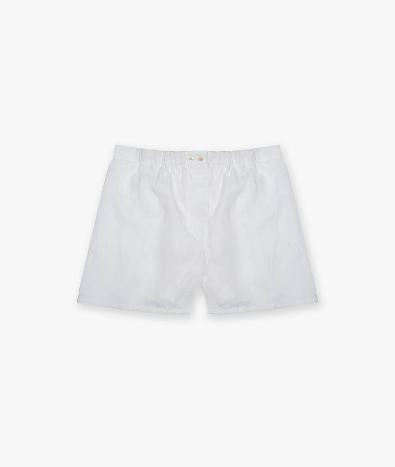 Boxer Venere