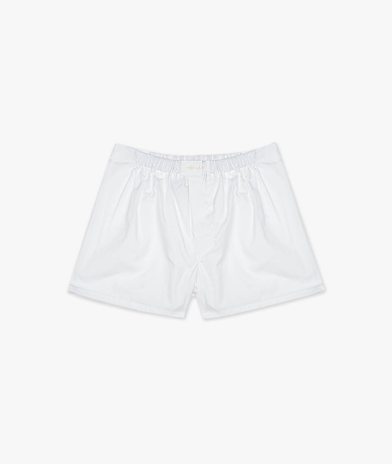 Boxer Baia