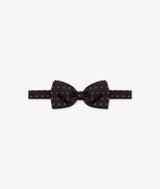 Papillon "Popping"